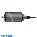 □ハウスB.M ドラゴンリョーバコアドリル(フルセット) 100mm (品番:DRC-100)(注番8257467)・(送料別途見積り,法人・事業所限定,取寄)