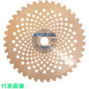 □エビ 刈払機用チップソー 255mm (品番:B255)(注番8264500)・(送料別途見積り,法人・事業所限定,取寄)