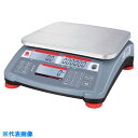 オーハウス レンジャーカウント3000 6kg/0.2g 30031809 (品番:RC31P6)(注番8358851)