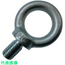 NANIWA アイボルト 生地 M100 (品番:EB1000100)(注番8491308)・(送料別途見積り,法人・事業所限定)【大型】