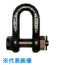 □大洋 JISシャックル M級 黒 SB-60(1007722) (品番:SB-60)(注番8492513)・(送料別途見積り,法人・事業所限定)【大型】