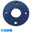RIKEN フランジ (品番:200F)(注番8505152)・(法人・事業所限定,直送元)