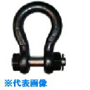 □大洋 JISシャックル M級 黒 BB-60(1007629) (品番:BB-60)(注番8516392)・(法人・事業所限定,直送元)