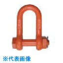 □大洋 軽量シャックル RS-63t(1062685) (品番:RS-63T)(注番8516447)・(法人・事業所限定,直送元)