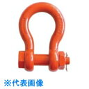 TAIYO スーパーアロイシャックル TB-10t(1014061) (品番:TB-10T)(注番8516526)・(送料別途見積り,法人・事業所限定,取寄)