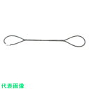 □大洋 JIS玉掛ワイヤ O/O 10×1M(3308421) (品番:JTWR10X1)(注番8516644)・(送料別途見積り,法人・事業所限定,取寄)