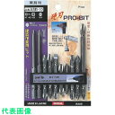 □サンフラッグ 業務用両頭ビット10本組 (品番:ASB10)(注番8535669)・(送料別途見積り,法人・事業所限定,取寄)