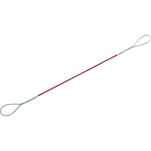 TRUSCOW󥰡Aס顼ʤա6mmX10m :GRC-6S1ˡ8550547