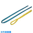 田村 ラウンドスリング SSタイプ HE-W010×1.75m 紫色 (品番:HEW0100175)(注番8574729)・(送料別途見積り,法人・事業所限定,...