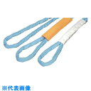 田村 重量物用ラウンドスリング SSタイプ HJN-W250×3.0 (品番:SSN2500300)(注番8578030)・(法人・事業所限定,直送元)