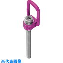RUD ロードリングプラスロングボルト VLBG-PLUS-M24L (品番:VLBG-PLUS-M24L)(注番8587656)・(法人・事業所限定,直送元)
