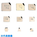 AS 板状分銅M1PSB-10MA (品番:2-493-06)(注番8667664)・(送料別途見積り,法人・事業所限定,取寄)