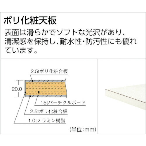 ナイキ　学校用デスク　（旧JIS） （品番:SSD3-IDT）（注番2142383）・（送料別途見積り,法人・事業所限定,直送）