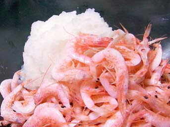 【由比産】釜揚さくら海老「300g」