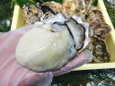 三栄の殻付き牡蠣セット