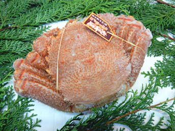 冷凍ボイル毛蟹「650gサイズ一尾」