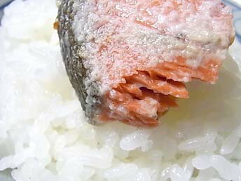 【激辛】天然紅鮭フィーレ「1kgサイズ」