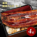 極旨 国産うなぎ セット うなぎ蒲焼き 4尾入り[ギフト/送料無料/お取り寄せ/グルメ/プレゼント/ギフト/お歳暮/お中元/土用の丑の日/ウナギ/鰻/さかなめし...