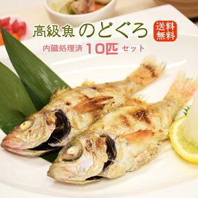 話題の高級魚 のどぐろ 10匹セット 送料無料 ウロコ・内臓処理済み 海鮮 ギフト プレゼント 魚 海鮮ギフト 絶品 お取り寄せグルメ 美味しいもの おうちごはん ご飯のお供 ノドグロ のど黒 喉黒 赤むつ 赤ムツ あかむつ 冷凍