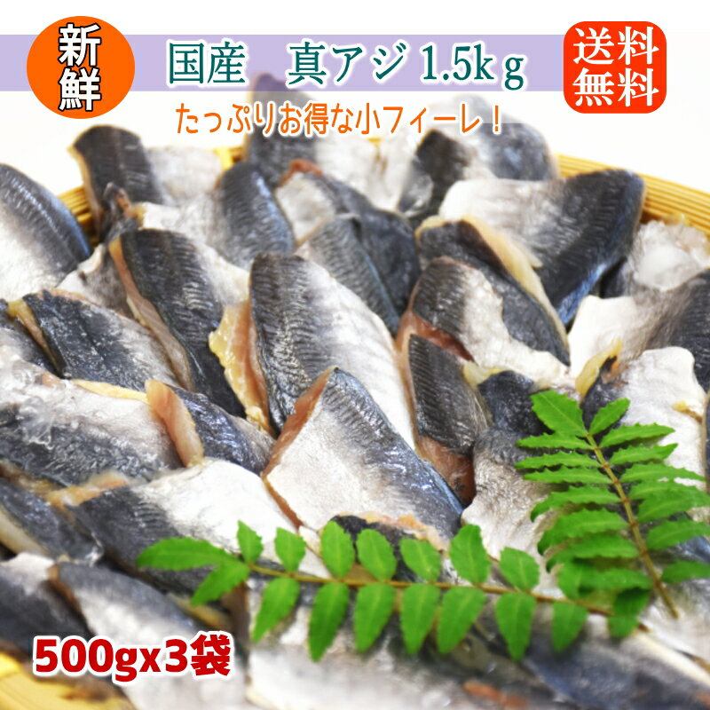 国産 無塩 マアジ フィーレ たっぷり1.5kg ( 500g x3パック/約99枚) 腹骨取り 訳あり 小さいサイズ 冷凍 アジ 鯵 骨取 切身 業務用 加熱用 あじ 冷凍食材 まとめ買い 大量 南蛮漬け アジフライ 夕飯 朝食 お弁当 真アジ