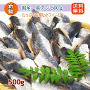 国産 無塩アジ フィーレ 500g 小さいサイズで使いやす