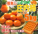 柿/庄内柿/種なし/ご自宅用/訳あり/たっぷり5kg(約30...