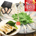 高級魚 かさご しゃぶしゃぶセット かさごスライス 1パック15枚入 カサゴ 海鮮しゃぶしゃぶ 冷凍 白身魚 海鮮ギフト 冷凍グルメ 絶品 お取り寄せ 海鮮 冷...