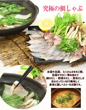 年末年始配送予約可 お歳暮 ギフト 年末グルメ極上 魚しゃぶ 真鯛 しゃぶしゃぶセット【 雅 】『真鯛+ 本ずわい蟹』/国産天然真鯛のスライス3パック+蟹ポーション1パック 送料無料 あす楽 マダイ まだい タイ たい カニ かに