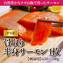 お刺身OK トラウトサーモン フィーレ 半身 サーモン チリ...