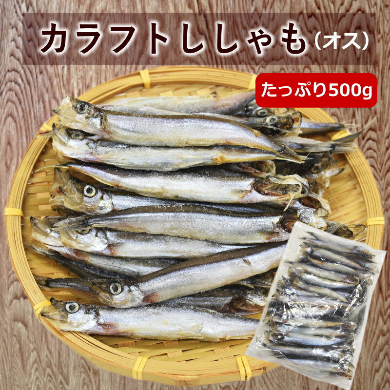 【同梱おすすめ】カラフトししゃも（オス）たっぷり500g 卵なし カラフトシシャモ おかず おつまみ フライ 南蛮漬け