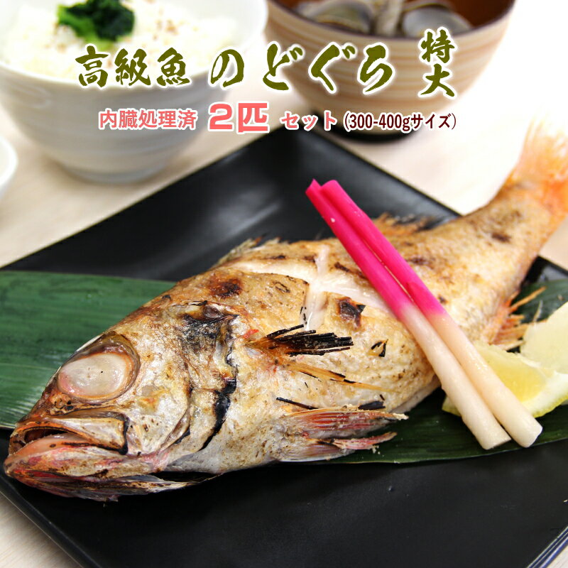 高級魚 特大 のどぐろ 丸ごと 300-400g 約28cm級の特大サイズ2匹セット ウロコ・内臓処理済 ノドグロ アカムツ 白身魚 魚料理 冷凍 魚セット 美味しい魚 あす楽食品 高級グルメ 快気祝い 絶品 お取り寄せグルメ 美味しい食品 美味しいもの ギフト プレゼント あす楽のサムネイル