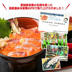 【21日1時59分までSALE】【二本以上購入で送料無料】愛知県産ブランド魚!絹姫(きぬひめ)サーモン1.5kg前後!安心安全の生食用・刺身OK!【冷凍・冷蔵便同梱可】【無料カットサービス】【ギフト】【恵方巻き/ちらし寿司/ひな祭り/ひなちらし】