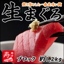 <生まぐろ刺身用約1.2kgブロック(キハダマグロ・鮪)>【...