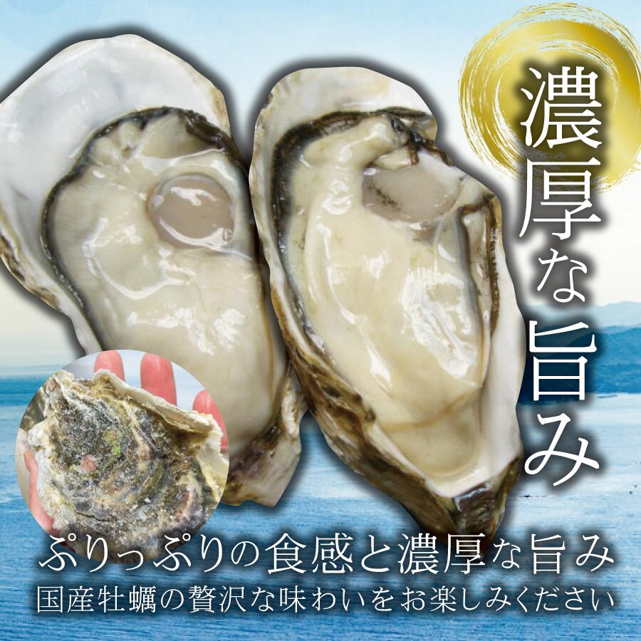 【約1kg30個前後入り】国産殻付き牡蠣　かき　カキ　生食可　電子レンジで簡単蒸し牡蠣もおすすめ sakanaya-10008797 魚屋の台所 寿商店 サンプル画像2
