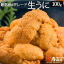 うに 最高級Aグレード 生うに 100g チリ産 ウニ 雲丹