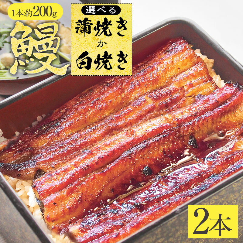 送料無料 自慢の自家焼き！国産活うなぎ蒲焼き/白焼き2匹セット＞専用うなぎのタレ2本付き！約200g×2尾 【冷凍便】【ギフト】うな丼 うな重に 今が旬！【海鮮バーベキュー/海鮮BBQ】