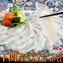 【送料無料】<下関 厚切り活きとらふぐてっさ刺身40貫 約3〜4人前 >ポン酢もみじおろし付き(トラフグ・寅河豚・刺し・刺し身)【下関】【ギフト】 とらふぐ刺身...