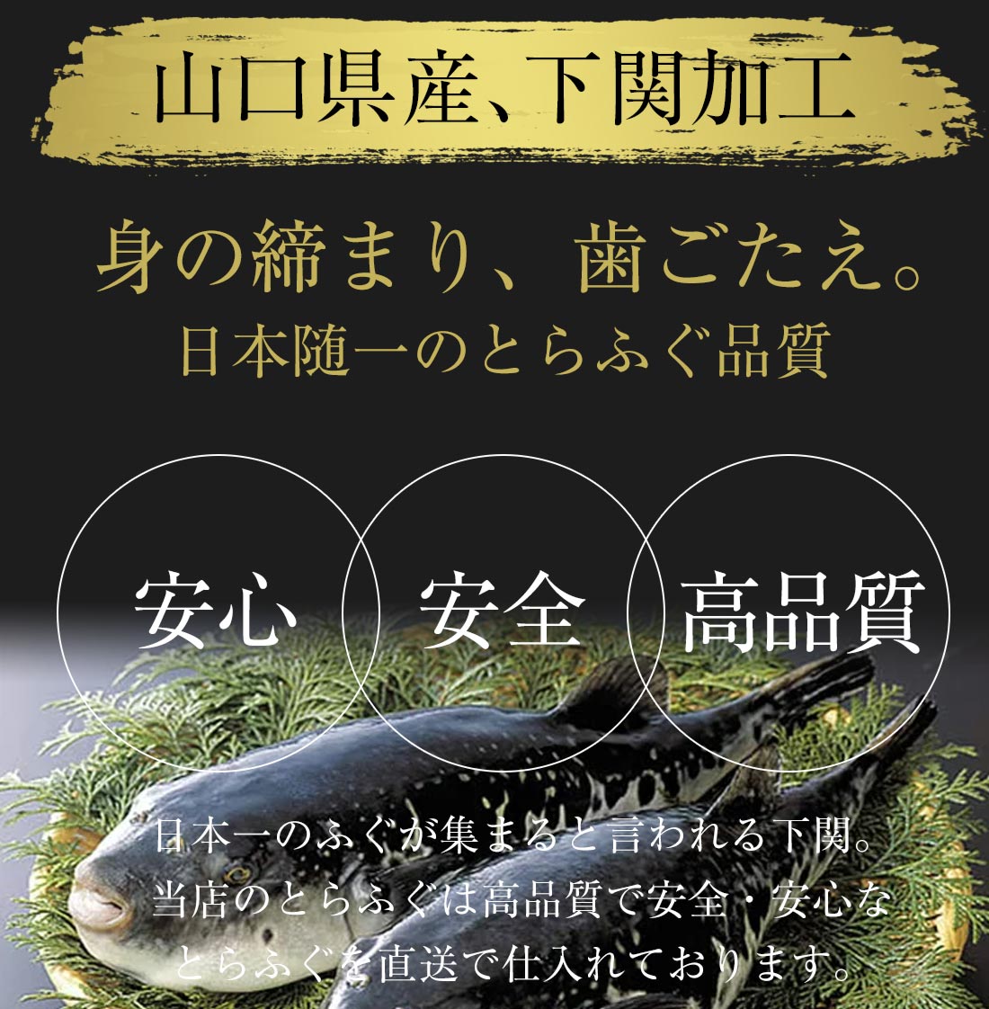 好評 最安値挑戦中 豪華絢爛 ふぐ鍋 刺身セット 4 5人前 冷凍便限定 同梱可 とらふぐ トラフグ とらふぐ刺し ふぐ刺し 刺身 てっさ 天然ふぐ ふぐちり てっちり ふぐ鍋 フグ ふぐ 河豚 ふぐ料理セット ふぐ セット まふぐ 取り寄せ鍋セット 日本製 Sterlex In