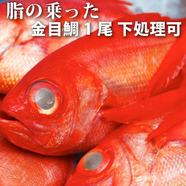 &nbsp; 商品の情報 品名 金目鯛 産地、加工地 静岡、高知 サイズ、規格、内容量 1尾約1kg ※鱗取りや腹出し処理後は減ります 配送便等の条件 冷凍便同梱可【年末年始は冷凍のみ】 保存方法 冷蔵(10℃以下)で保存）仕入れより4日間 冷凍(-15℃以下)で保存）仕入れより20日間※解凍後はお早目にお召し上がりください。 注意事項 特にありません ※仕入れにより予告なくパッケージや梱包の変更、メーカ—が変わる場合があります※自社販売等と在庫を共有しているため在庫更新や仕入れのタイミングにより在庫切れになった場合やは、代替え品の提案や、やむをえずキャンセルさせていただく可能性があります。