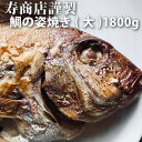 【お食い初め】 【焼鯛】 【祝い鯛】＜鯛の姿焼き（タイ・たい）約1.8kg＞超特大サイズ！【尾頭付き】【冷凍同梱可】【ギフト】【お中元ギフト】 百日祝い