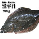 ＜活きひらめ1尾700g（ヒラメ/平目）＞激安！お刺身で！【鮮魚】【冷凍便同梱可】