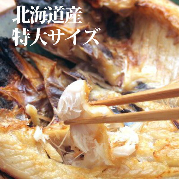 ＜国産真ほっけ干物3枚（ホッケ）＞北海産 脂ノリノリ...