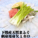 魚屋特選素材！＜天然活き〆まふぐ刺身用身欠きたっぷり1kg＞（マフグ・真河豚）ふぐ フグ ふぐ刺し ふぐ鍋 てっさ てっちり　ギフト