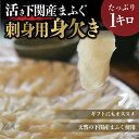 【近海獲れ!国産天然真フグのみ使用】魚屋特選素材!<天然活き〆まふぐ刺身用身欠きたっぷり1kg>(マフグ・真河豚)【冷凍便同梱可】ふぐ フグ ふぐ刺し ふぐ鍋 ...