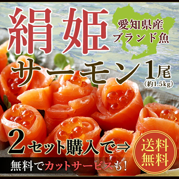 【二本以上購入で送料無料】愛知県の希少価値の高いブランド魚！絹姫(きぬひめ)サーモン1.5kg前後！安心安全の生食用・刺身OK!【冷凍・冷蔵便同梱可】【無料カットサービス】【ギフト】【恵方巻き/ちらし寿司/ひな祭り/ひなちらし】