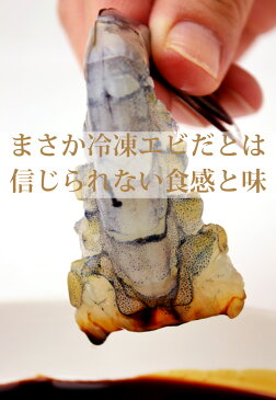 天使の海老 1kg 30〜40尾 世界最高 グレード 高級料亭 刺身用 冷凍便 世界が認めた旨さ 天使のエビ 天使のえび ギフト 贈り物 贈答品 化粧箱 広島中央卸売市場 草津港 三丁目横丁 市場 直送便
