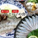 活き締め 鱧 穴子の食べ比べ セット (鍋にして3人前〜4人前) 瀬戸内海産 レシピ付き アラ付き はも 鍋 鱧 はもしゃぶ 湯引き 天ぷら 骨切り済み はもす...