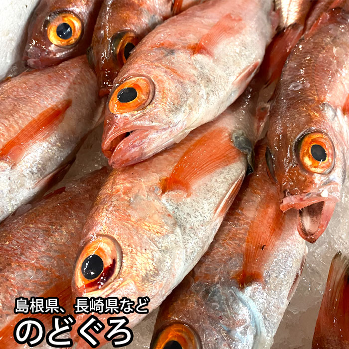 のどぐろ 約250g 煮つけ用 生 赤むつ あかむつ （冷蔵便）