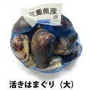 活き はまぐり 大 1kg 15粒前後入り 三重県 国産 バーベキュー お吸い物 ひな祭り お食い初め おせち 御祝い 蛤