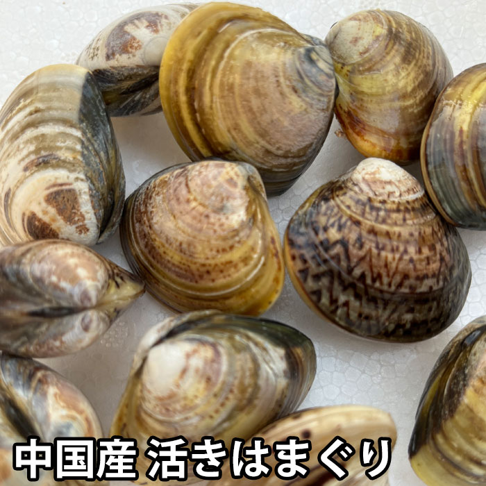 ◆名称：はまぐり ◆産地：中国産 ◆消費期限：発送日を含む4日 ◆保存方法：要冷蔵 ◆販売者：三島水産（株） 広島県広島市西区草津港1-8-1